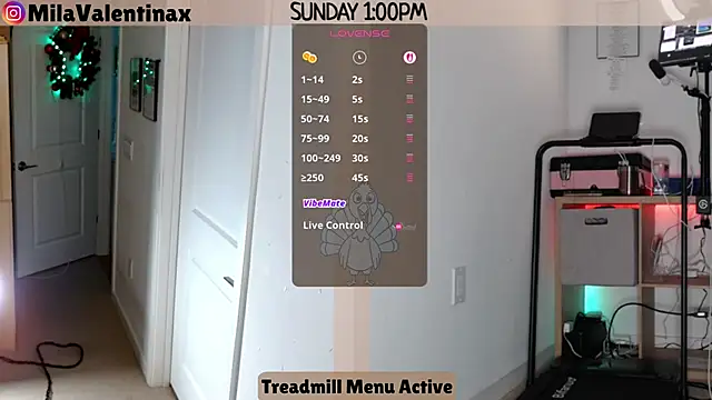 Snapshot of MilaValentina chatting on 11.30.25 MilaValentina online show from 11.30.25