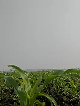 ThethunderPo online show from 02.03.26