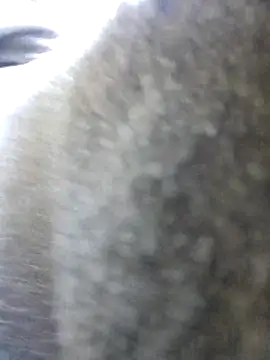 UncutHammer69 online show from 10.26.25