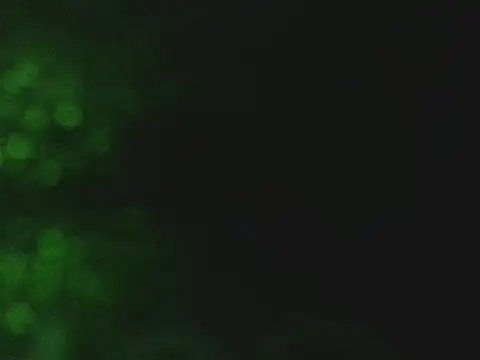 Snapshot of lonelycock33 chatting on 11.07.25 lonelycock33 online show from 11.07.25