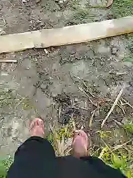 bigh96dik online show from 01.14.25