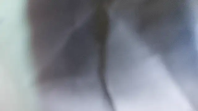 domjoab online show from 02.02.26