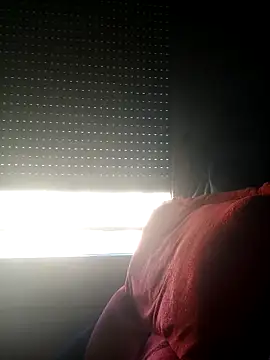 totolescientifique online show from 03.19.26