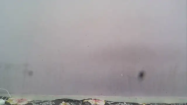 Snapshot of HotyRose chatting on 01.17.26 HotyRose online show from 01.17.26