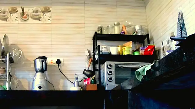 Snapshot of Fun4tipz chatting on 11.28.25 Fun4tipz online show from 11.28.25