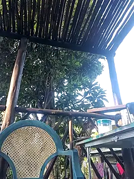 TryingWind online show from 04.11.26