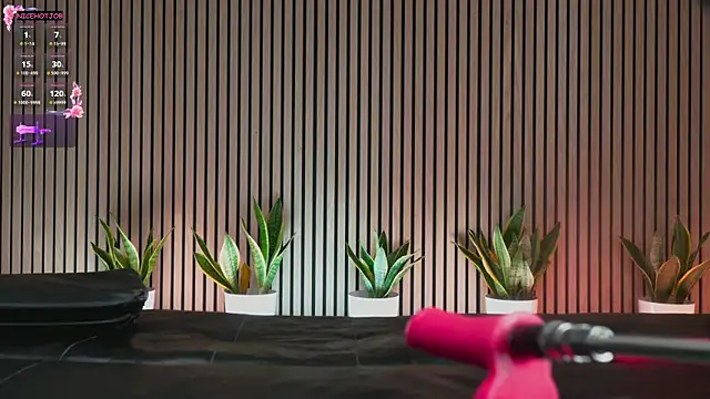 NiceHotJob online show from 02.03.25