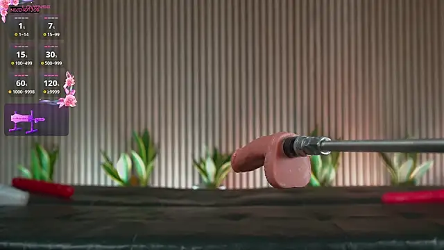 NiceHotJob online show from 03.04.25