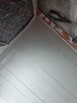 Snapshot of Toycockhot chatting on 03.06.25 Toycockhot online show from 03.06.25