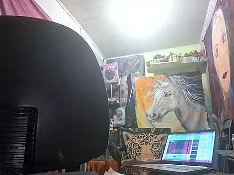 Toycockhot online show from 03.08.25