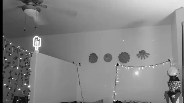 Snapshot of mycock2474u chatting on 02.21.25 mycock2474u online show from 02.21.25