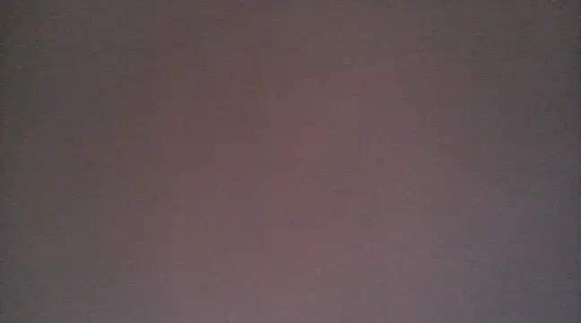 Snapshot of NIRVANA chatting on 12.29.24 NIRVANA online show from 12.29.24