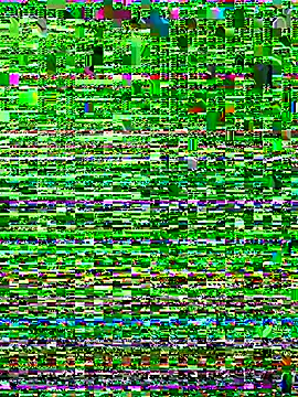 Snapshot of iAmNukka187 chatting on 11.01.25 iAmNukka187 online show from 11.01.25