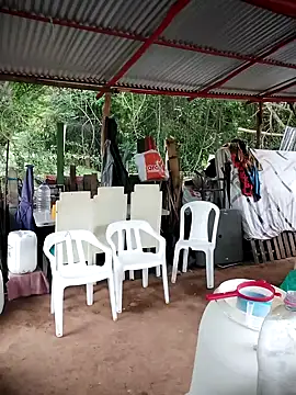 Brenda Berck  online show from 02.24.26