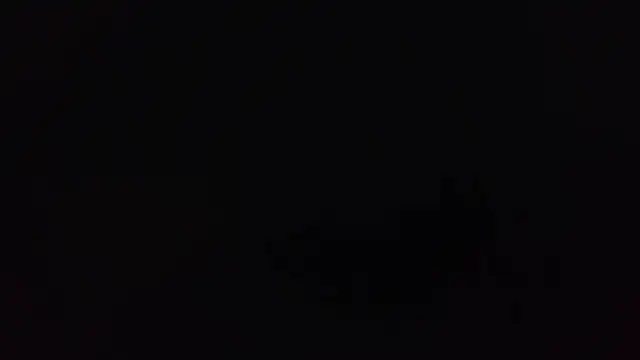 Snapshot of k-dong chatting on 03.15.26 k-dong online show from 03.15.26