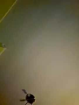 NiceHunter89 online show from 01.12.25