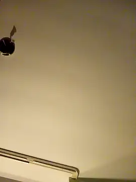 NiceHunter89 online show from 01.26.25