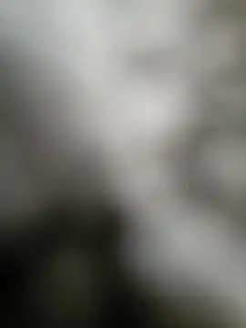 NiceHunter89 online show from 09.15.25