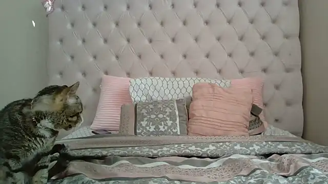 beautylovess online show from 12.21.25