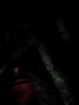 Ygnacio 95 online show from 12.16.24