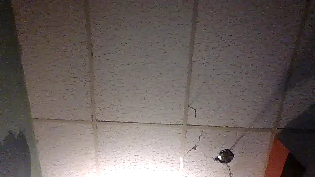 Snapshot of moipipi2 chatting on 12.07.24 moipipi2 online show from 12.07.24