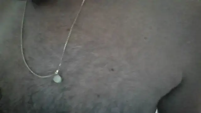 Snapshot of Leo_Big chatting on 02.26.26 Leo Big online show from 02.26.26