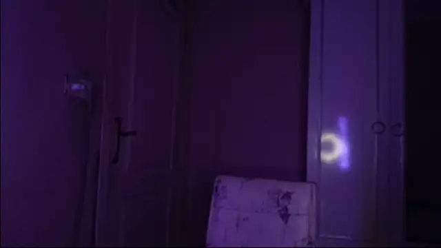 Snapshot of Bullish chatting on 01.22.25 Bullish online show from 01.22.25