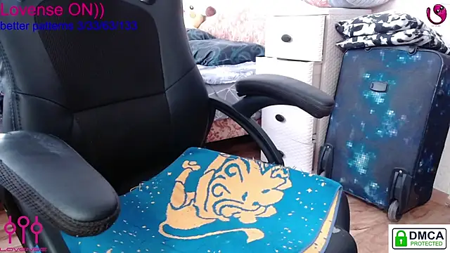 sweet cute cat online show from 02.13.25