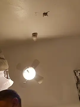 tropikboy online show from 01.12.26