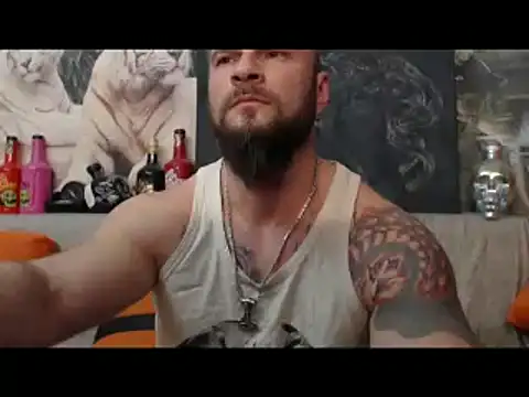 viking 30 online show from 03.08.25