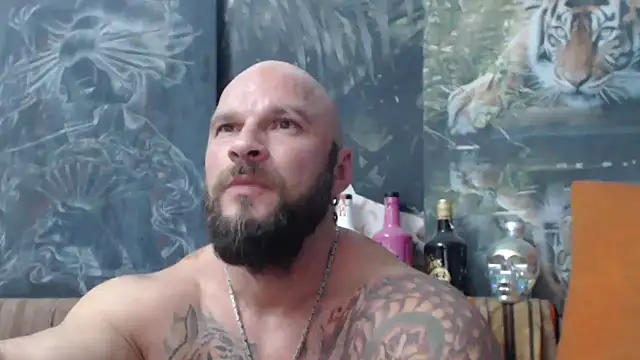 viking 30 online show from 09.15.25