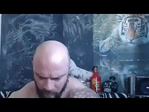 viking 30 online show from 04.26.26