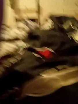 Lm-Schwanz online show from 03.07.26