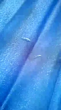 Snapshot of Luismiguel55 chatting on 03.08.25 Luismiguel55 online show from 03.08.25