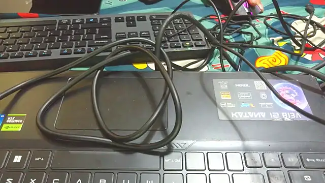 bigpennisboys online show from 11.22.25