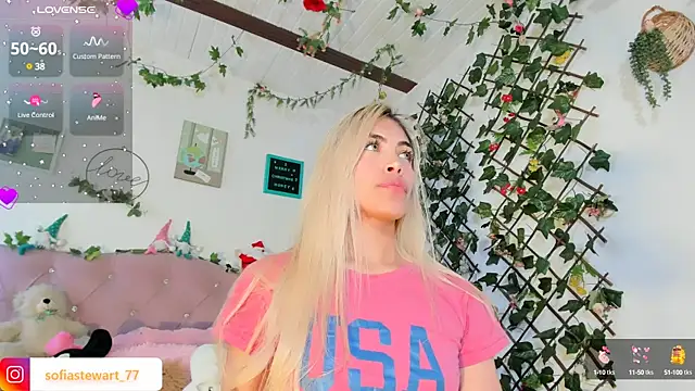 steewart  online show from 12.29.24