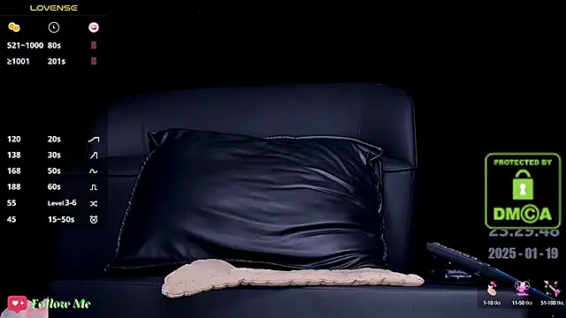 Snapshot of melia_Z chatting on 01.19.25 melia Z online show from 01.19.25