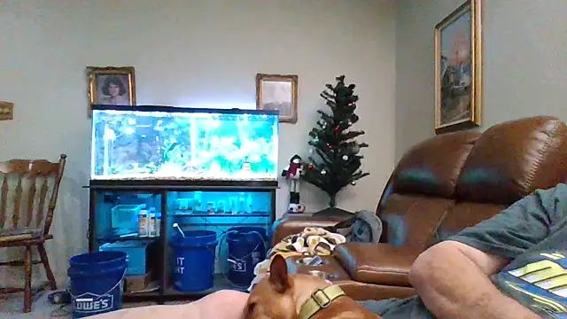 Snapshot of 1964peterbilt1 chatting on 12.30.24 1964peterbilt1 online show from 12.30.24