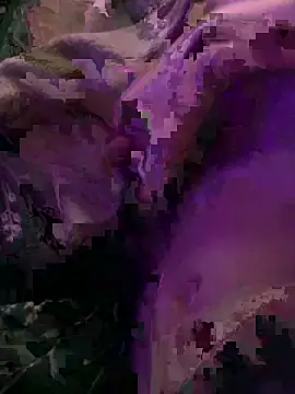 Snapshot of K100x chatting on 12.04.25 K100x online show from 12.04.25