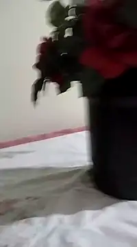 Snapshot of catdool chatting on 01.23.25 catdool online show from 01.23.25