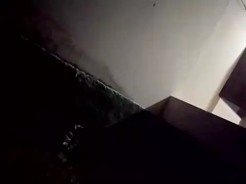 Snapshot of catdool chatting on 02.28.25 catdool online show from 02.28.25