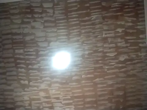 Snapshot of catdool chatting on 09.22.25 catdool online show from 09.22.25