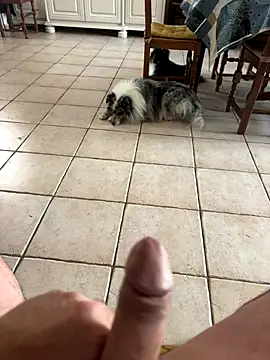 Snapshot of Loul41 chatting on 11.02.25 Loul41 online show from 11.02.25