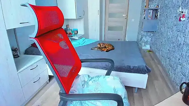 DUSSY PUSSY online show from 02.11.25