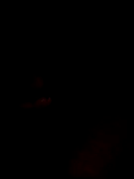 websterribeiro online show from 03.11.26