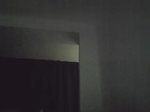 Snapshot of FallenDevil chatting on 04.02.26 FallenDevil online show from 04.02.26