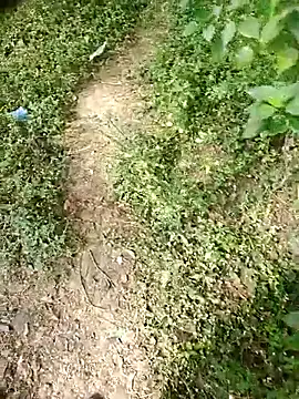 rameshmry1 online show from 01.07.26