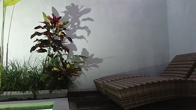 TammiLou online show from 03.06.25