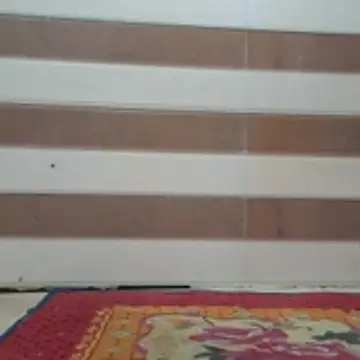 xsidharthmahi online show from 07.03.26