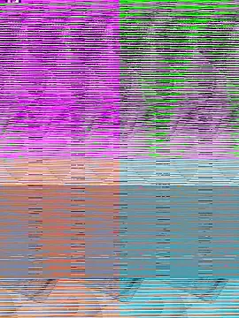 FinableKnee online show from 10.24.25